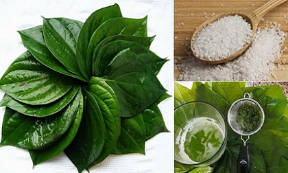Nước giã trầu không - phương pháp trị nấm bẹn hiệu quả