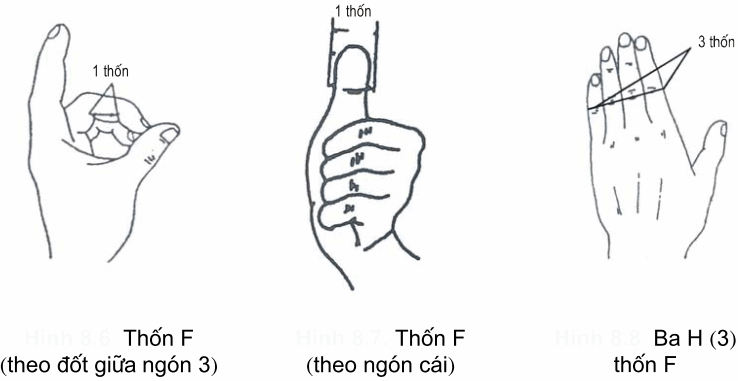 Cách tính thốn trong bấm huyệt chữa xuất tinh